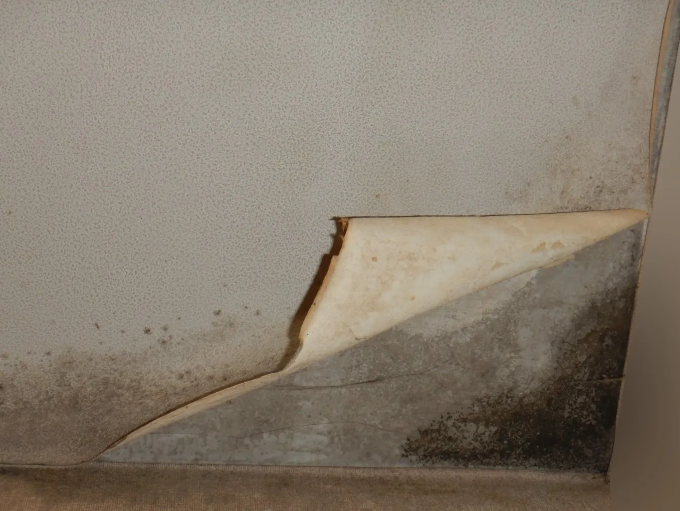 集合住宅天井壁紙コンクリート下地に防カビ結露対策工事