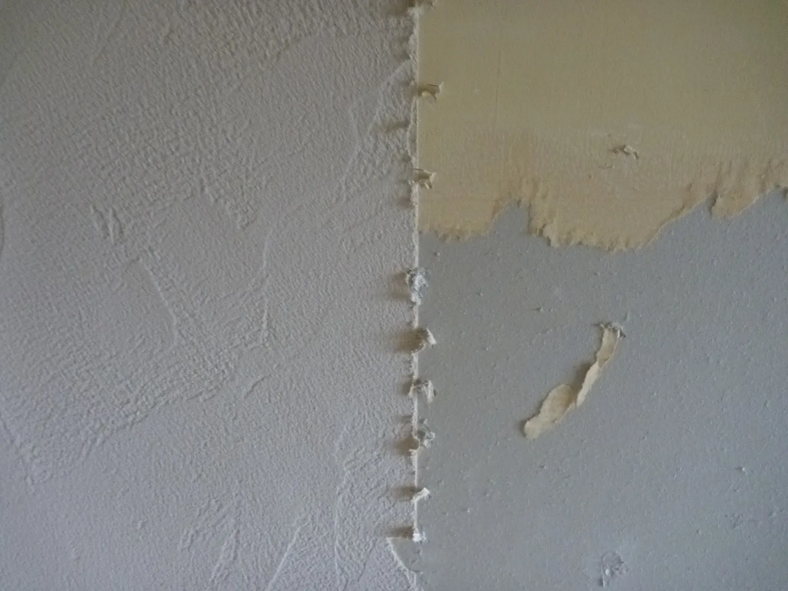 珪藻土を壁紙上に塗るのは絶対やめて！防カビ工事が大変