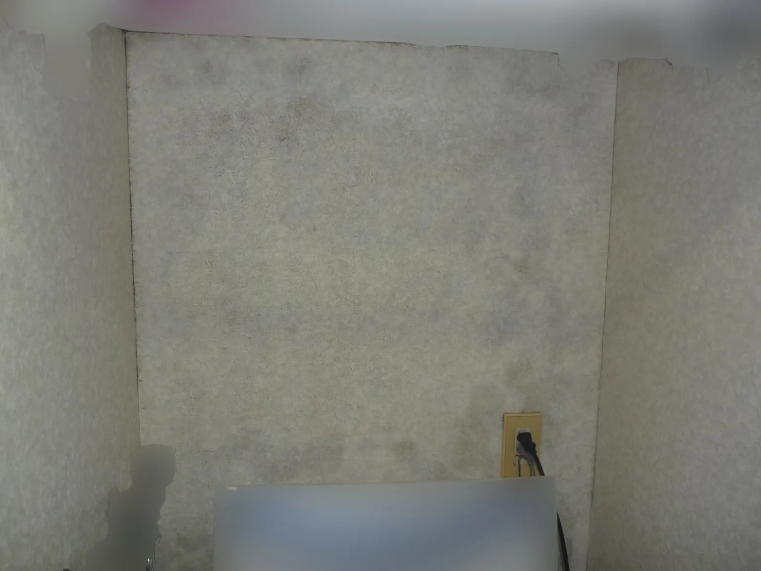 洗濯機置き場と壁コンクリート下地壁紙結露カビ