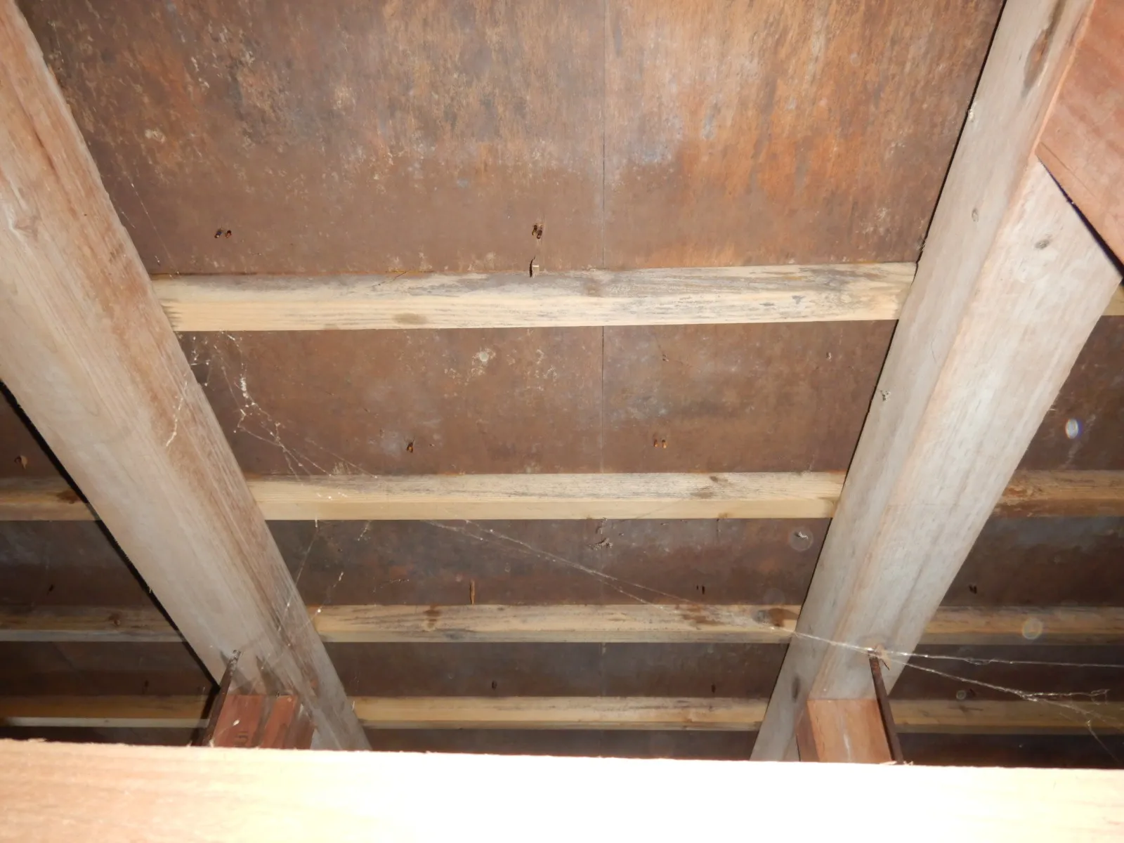カビだらけの住宅床下木材合板に防カビ工事を！