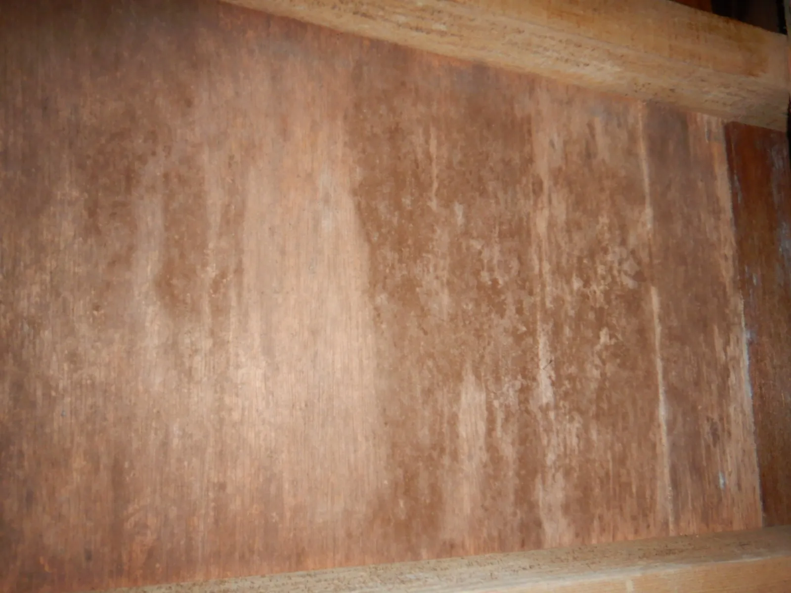 プレモは住宅床下木材合板カビのセカンドオピニオン