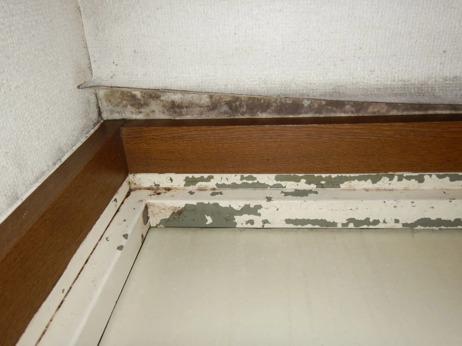 【マンション・団地】玄関壁紙カビにプレモ防カビ工事