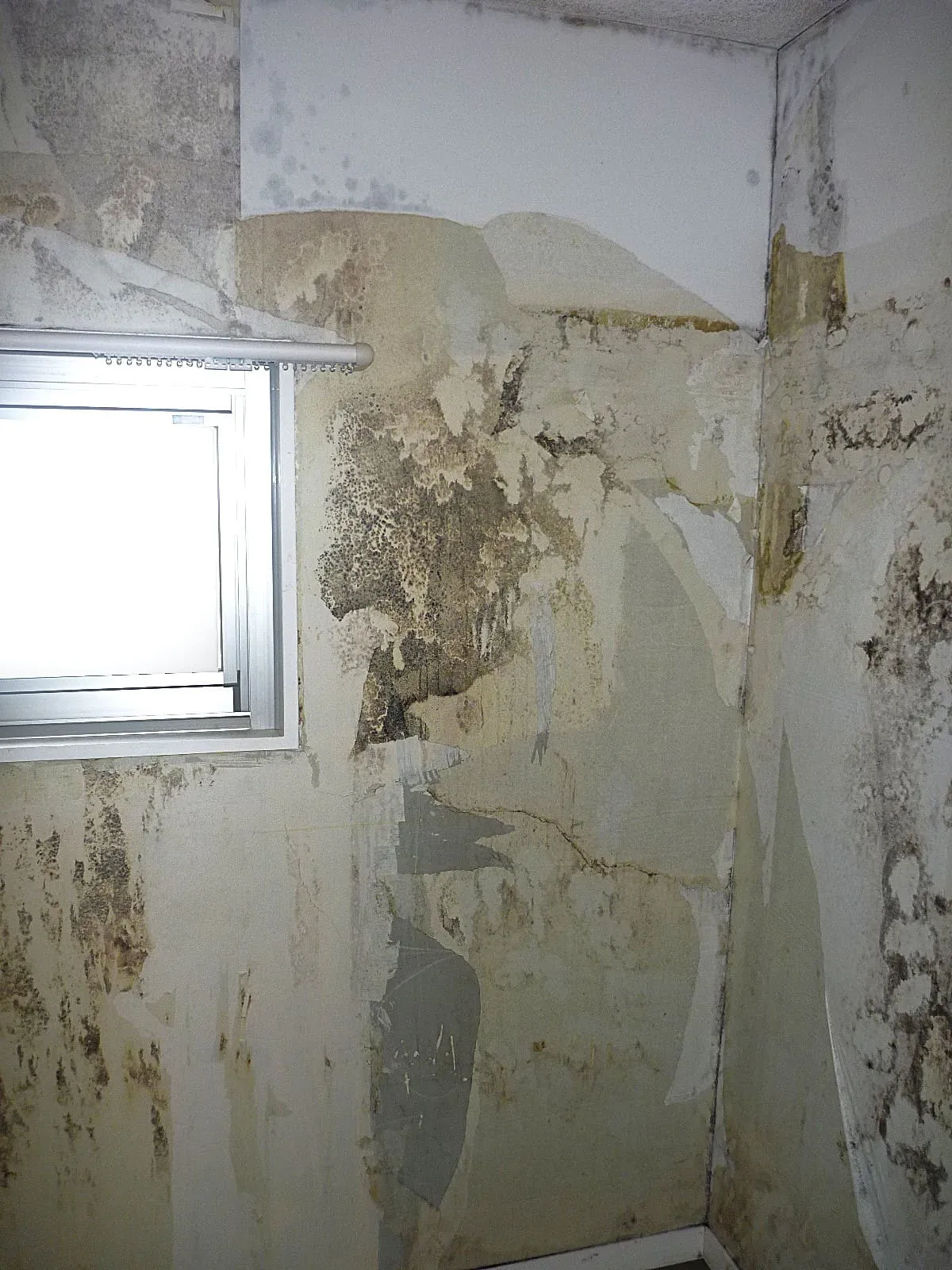 【築30年以上の集合住宅】壁紙コンクリート下地に囲まれた部屋