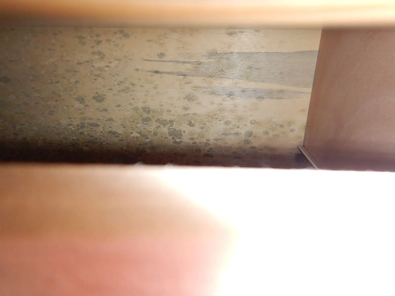 カビにアルコールやエタノールは逆効果ですか？