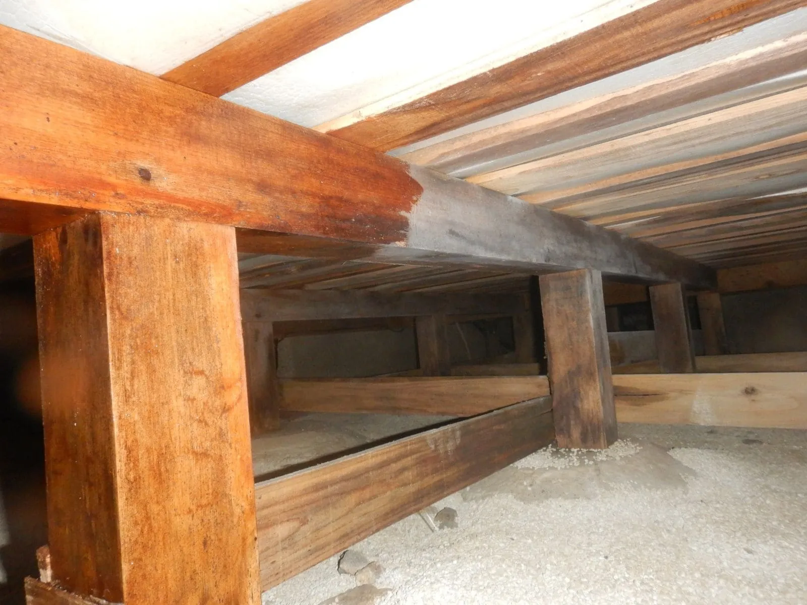 【戸建住宅向け】あなたの家は大丈夫？「床下カビ＆健康リスク」診断チェックシート