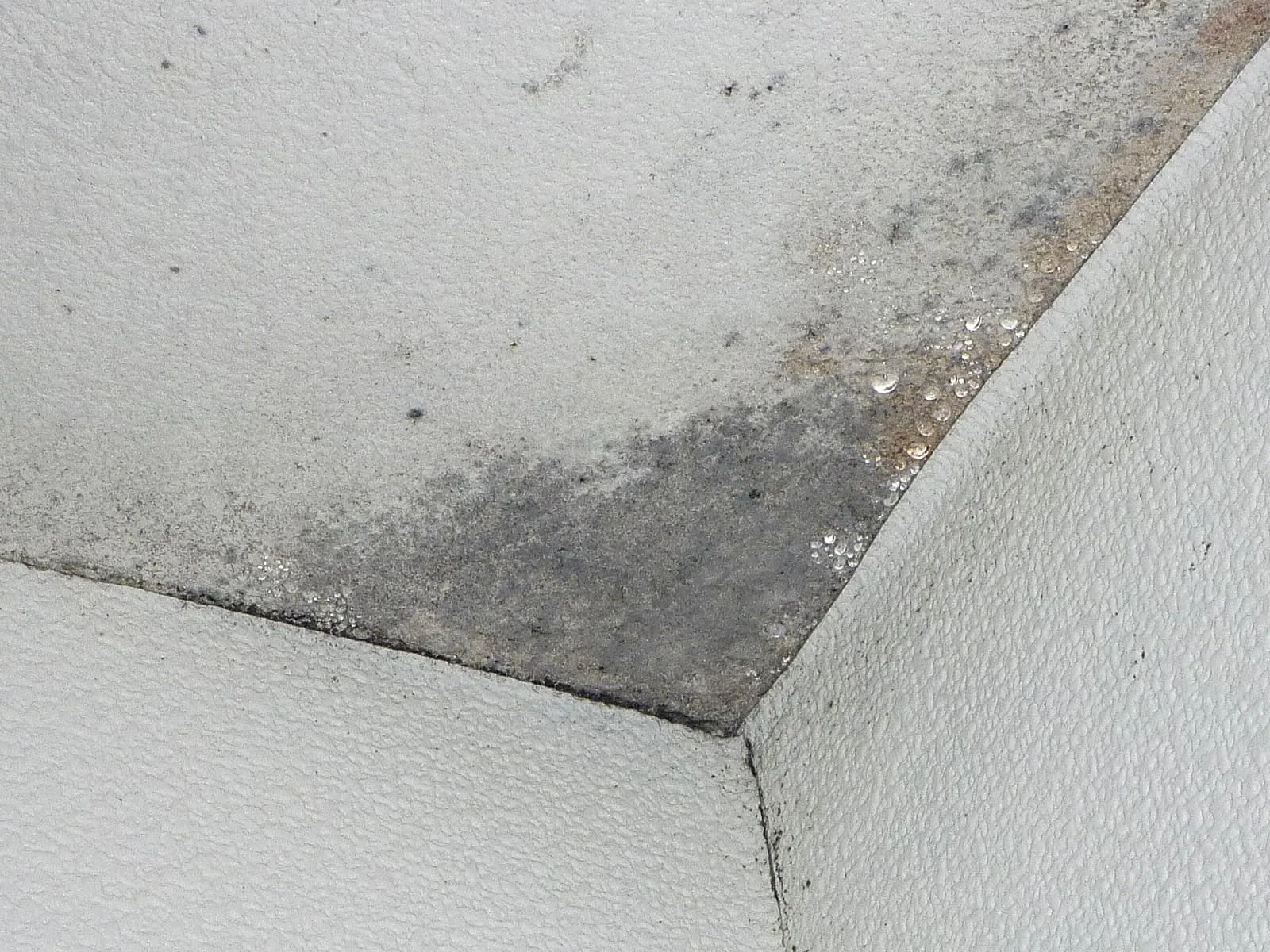 大切な家族の退院を控えるあなたへ：見過ごせない部屋の「カビ臭さ」と「天井結露」の真実