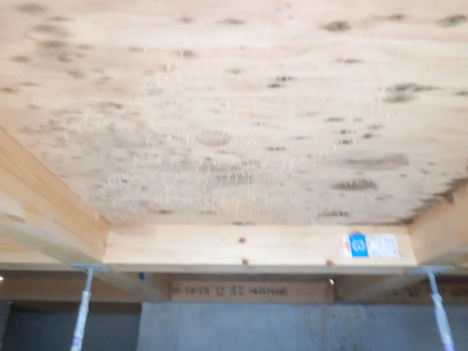 建築中の雨濡れ構造用合板は危険！完成後に潜むカビの温床とプロの対策