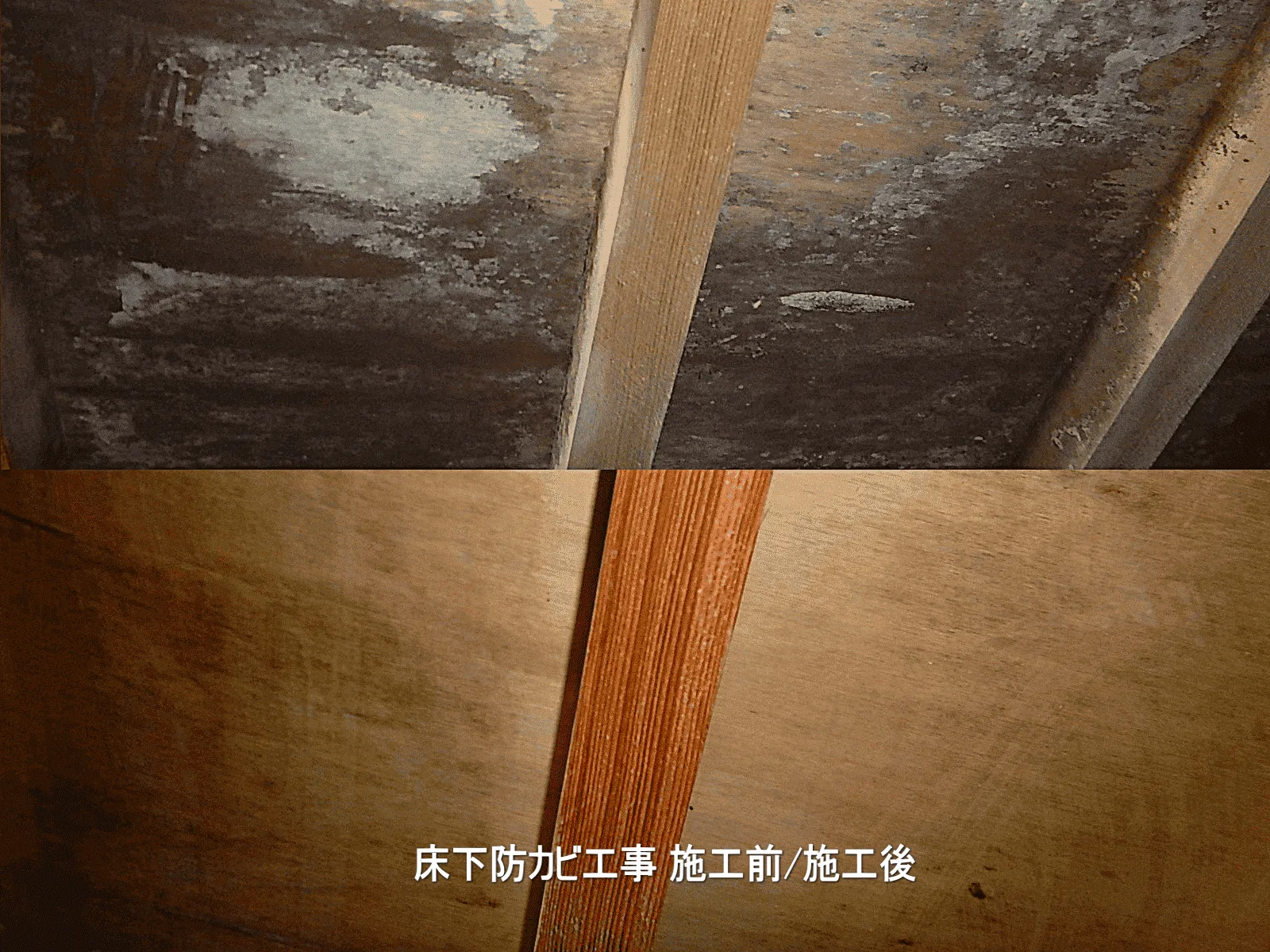 有限会社プレモ