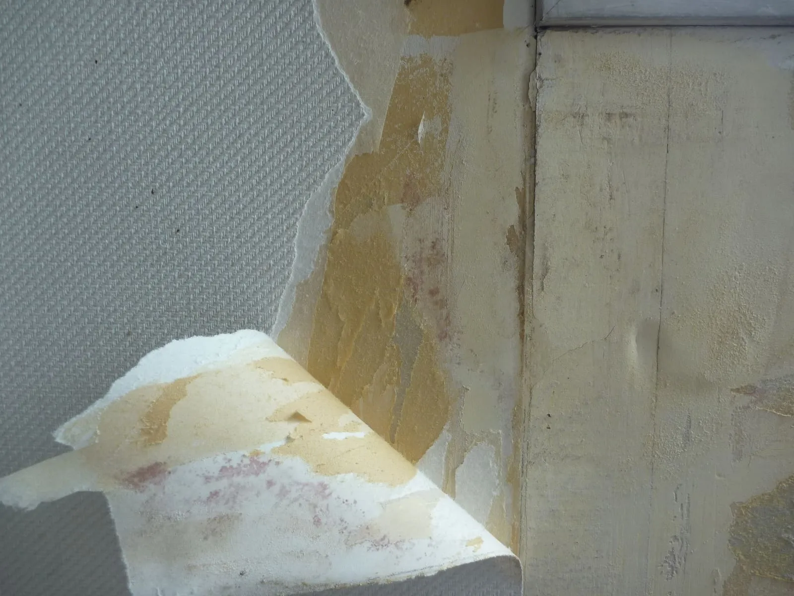壁紙石膏ボード下地カビ