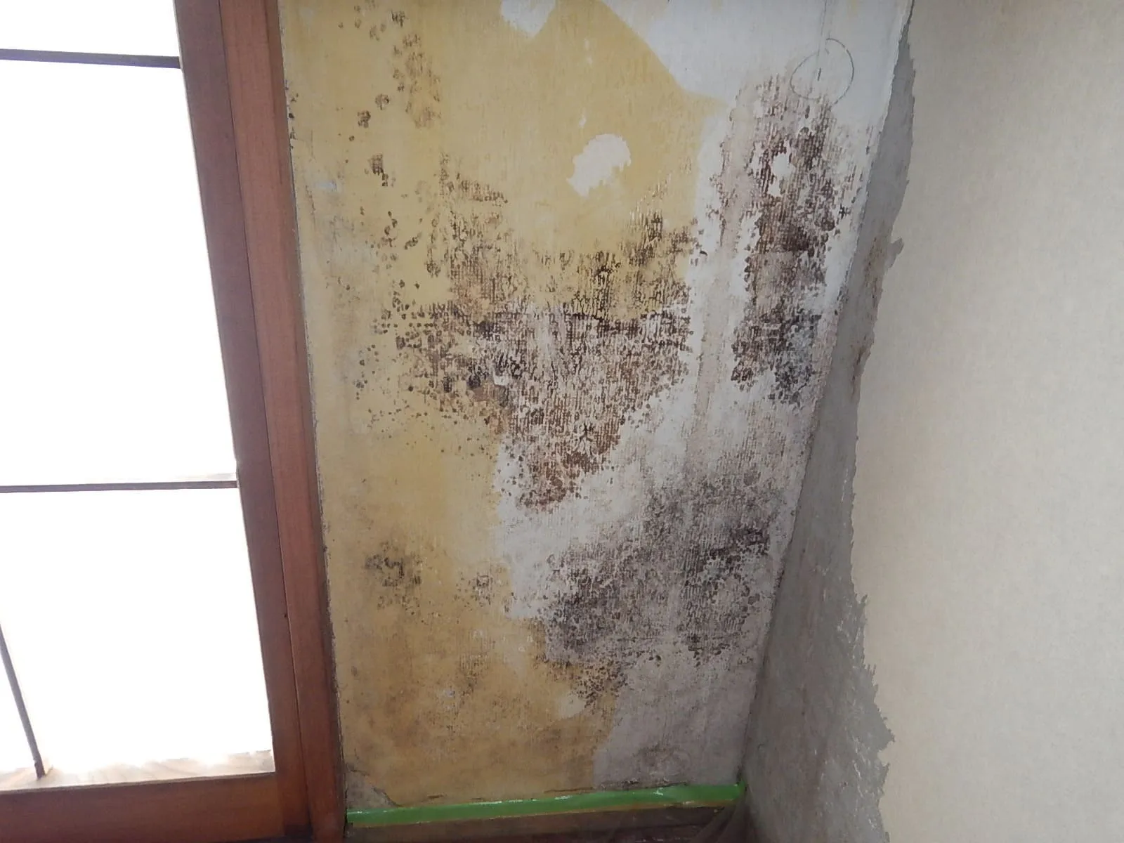 【埼玉】賃貸マンションで繰り返すカビ｜張替えだけでは止まらない再発の現実