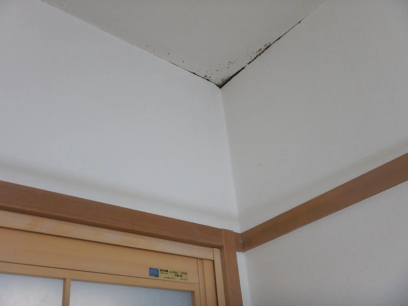 【川口市】結露がカビ臭をつくる｜防カビ結露対策工事でできること