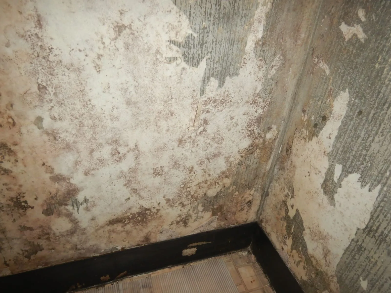 【さいたま市】築古マンション玄関の結露カビを根絶!防カビ専門業者の最終対策