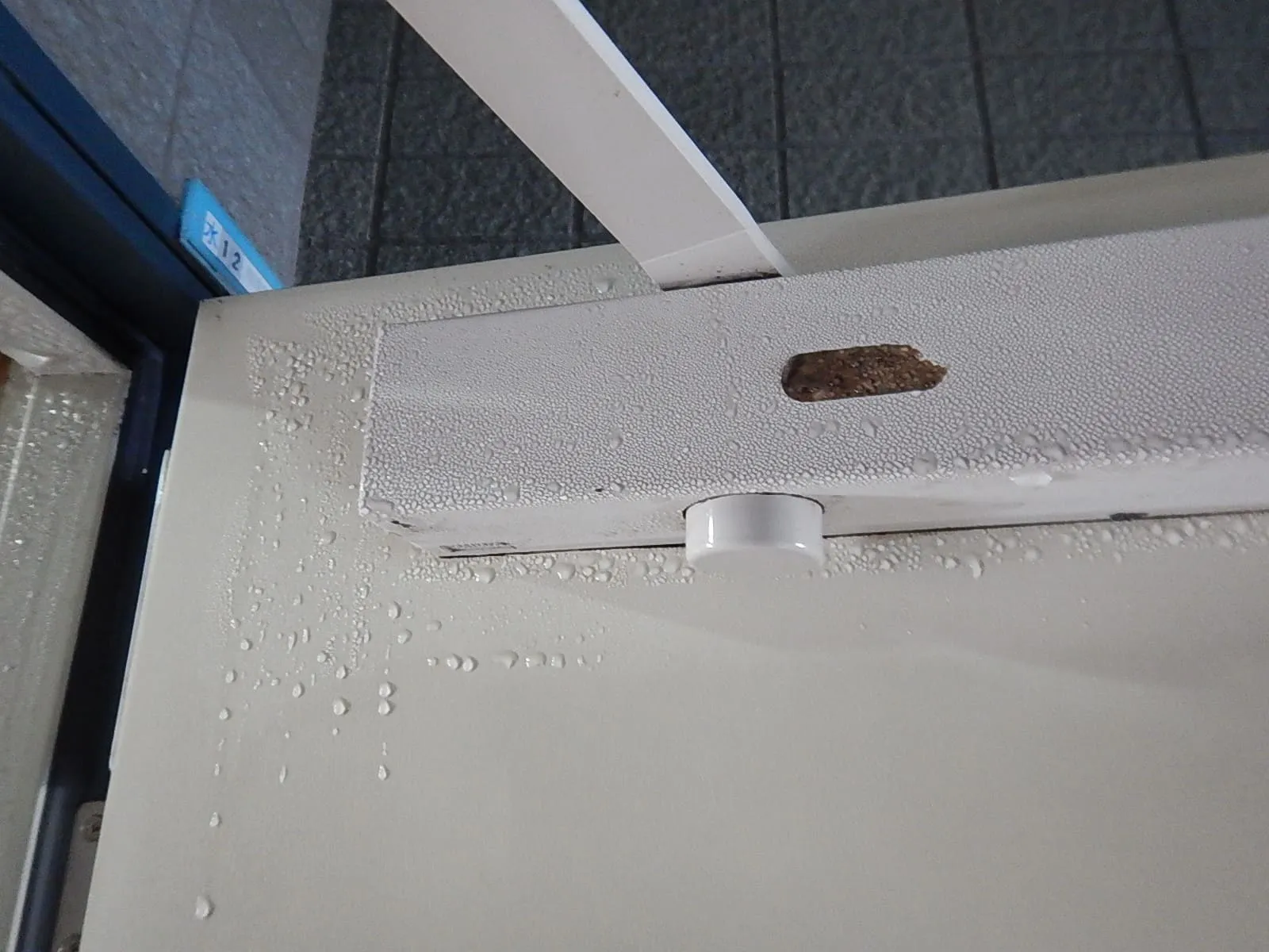 【埼玉】寒暖差が生む「見えない結露」|築古マンションの防カビ結露対策工事