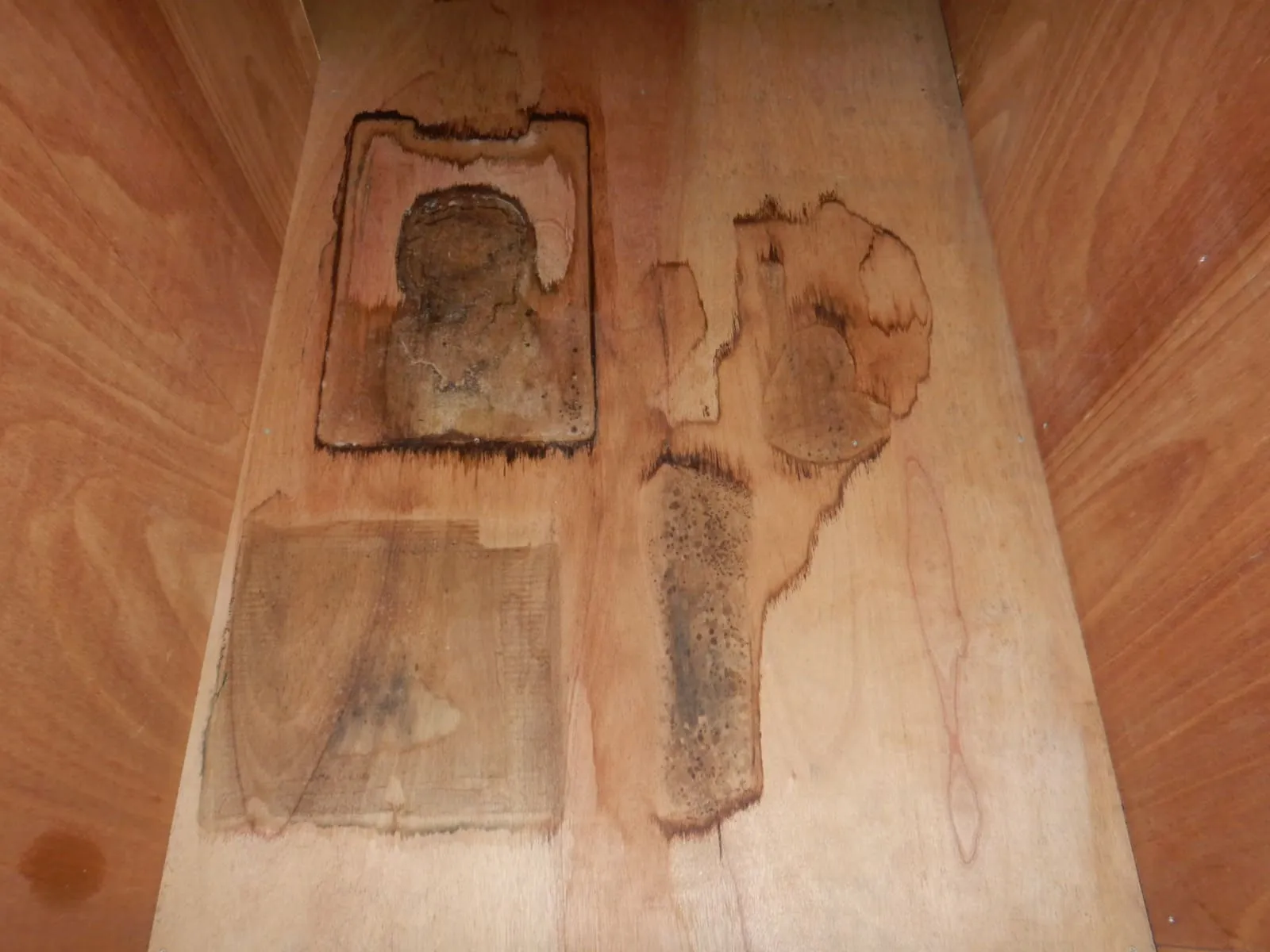 階段下収納のカビ臭と魚臭を防カビ工事で解消|川口市事例