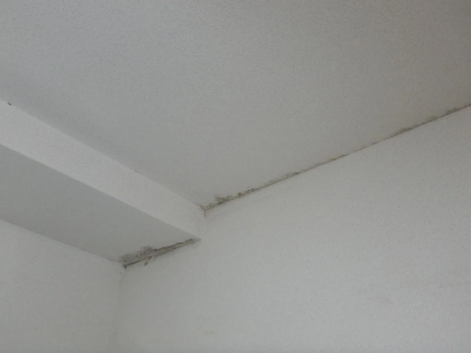 【埼玉】カビ臭い部屋の正体｜コンクリート直張り壁紙の結露対策工事