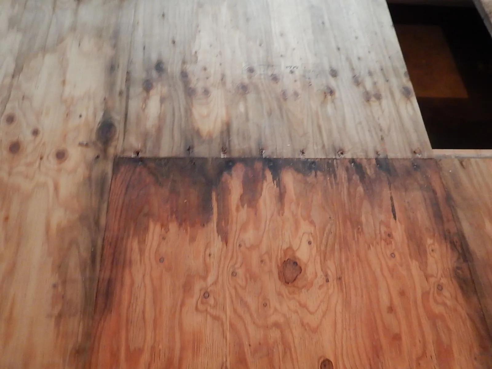 建築中に雨で濡れた構造用合板──「防カビ工事が高い」と言う前に考えてほしいこと