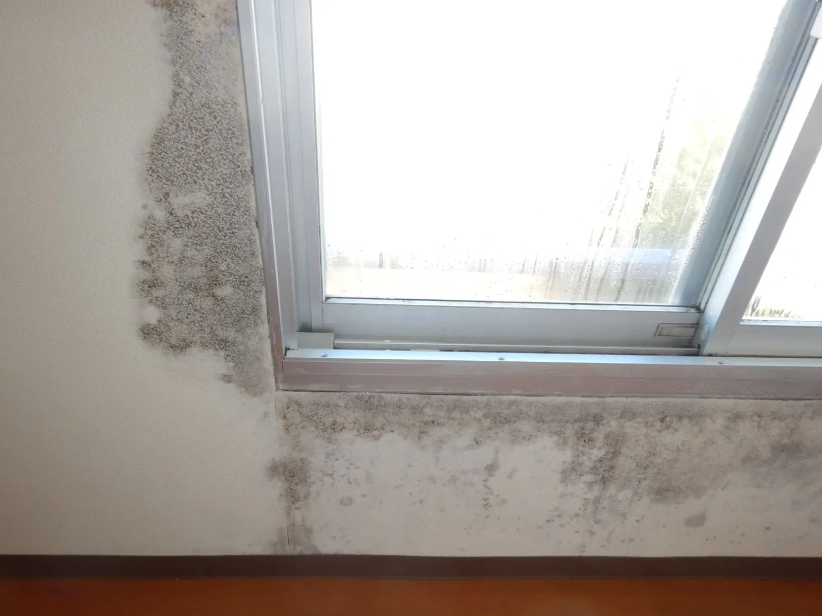 壁紙張替え防カビ工事の限界｜結露を止めなければカビは止まらない