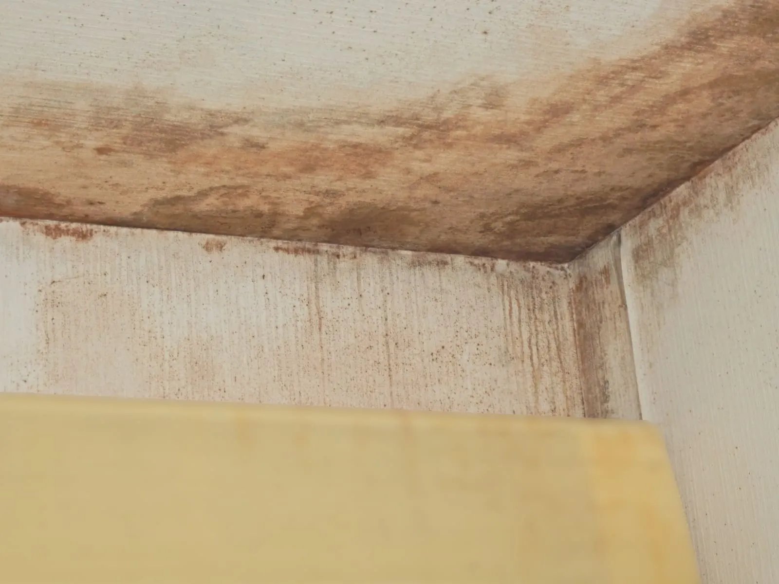 【埼玉】冬の暖房器具が生む「人工結露」｜ガスファンヒーターと黒カビの関係