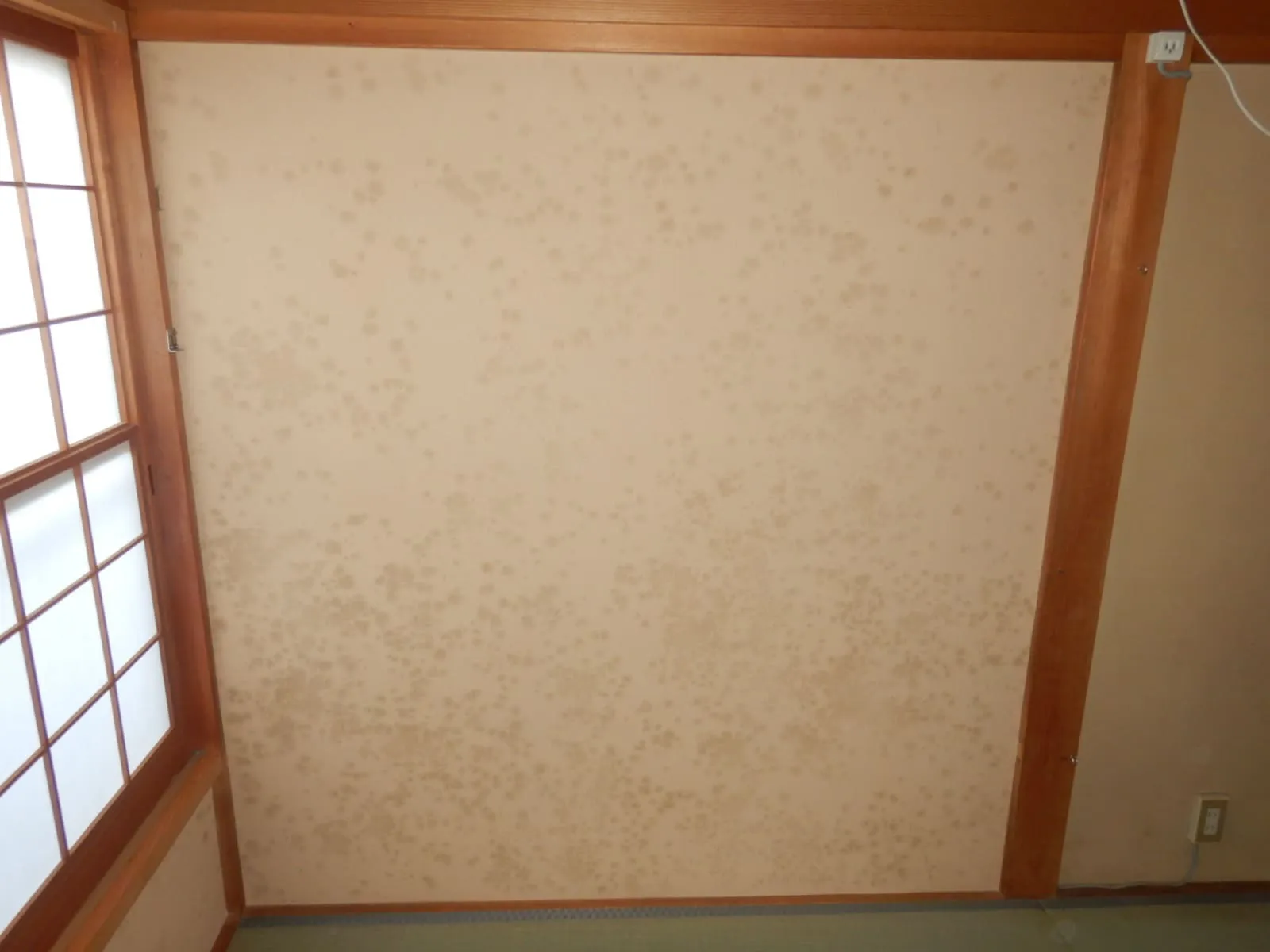 砂壁表面防カビ工事がダメな理由｜掻き落としをすすめる訳