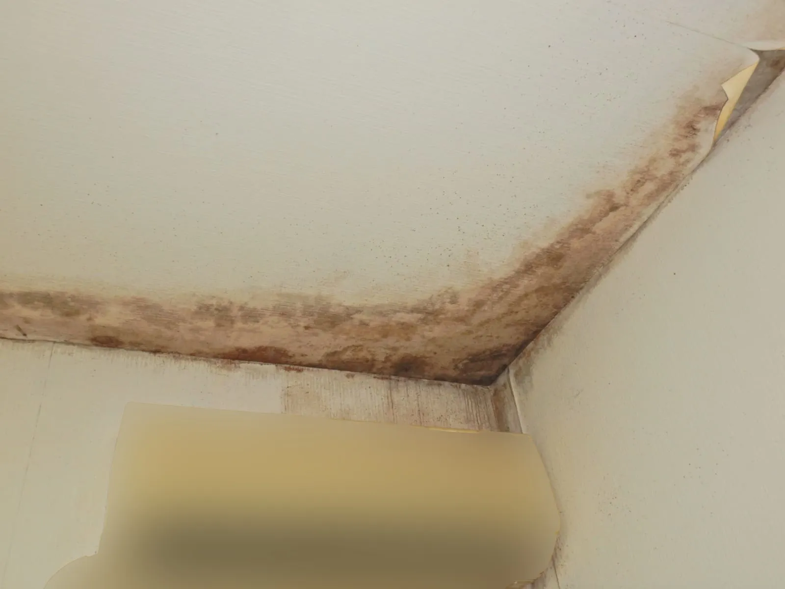 カビ臭が消えない家に注意｜乾燥が菌を飛ばす季節