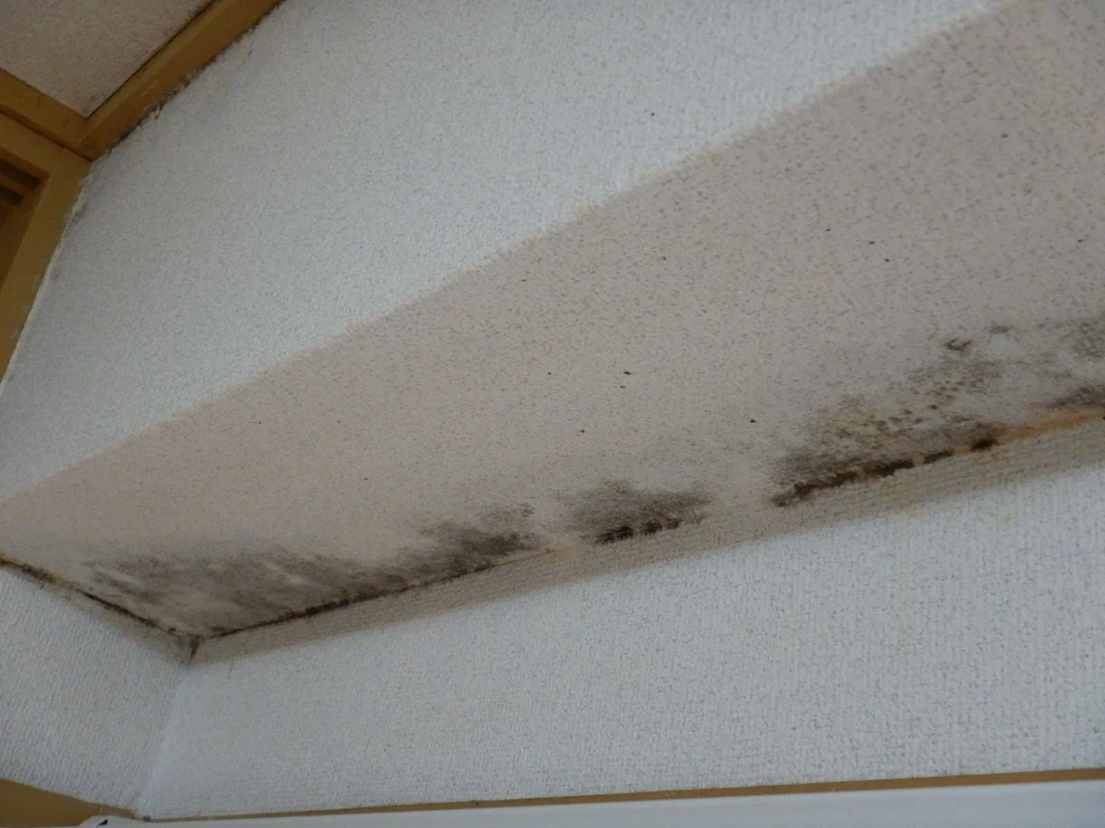 【埼玉・東京】コンクリート梁の結露カビをいつまで放置しますか?