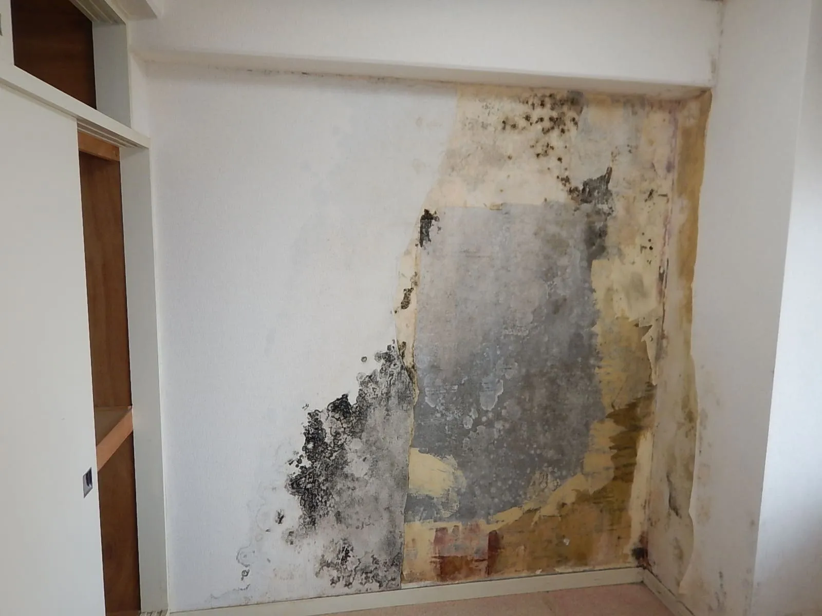 東京都中野区|コンクリート直張り壁紙の裏が冷たくなる理由と、結露カビを止める方法