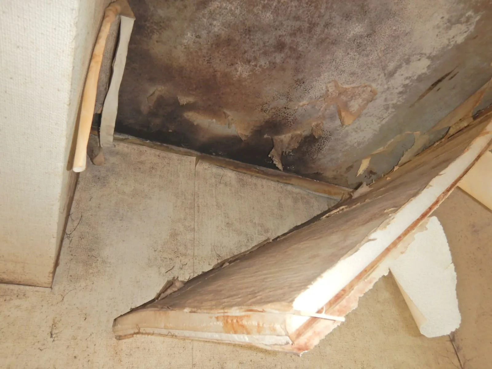 【練馬区の賃貸でも発生】天井直張りと大きな梁がつくる冬の結露カビ【後編】