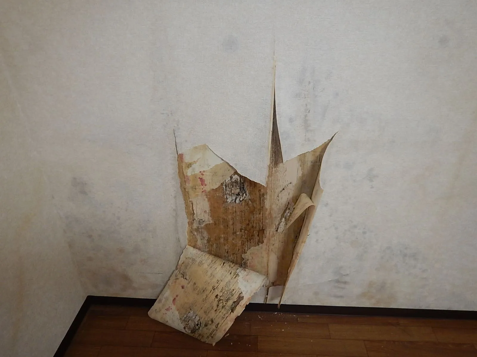 【埼玉・東京北部】分譲賃貸マンション住人からの結露カビの相談が来た時