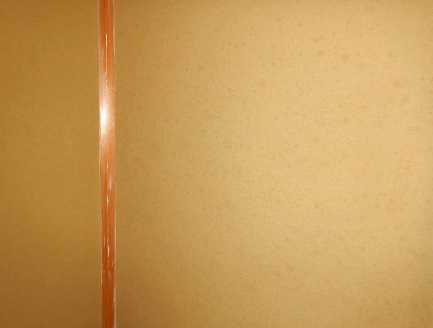 【埼玉】砂壁に広がるカビ臭｜掻き落とし＋防カビ工事で再生する方法