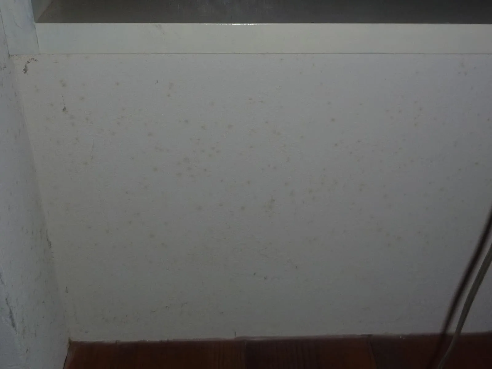 【上尾・さいたま市】柔らかい珪藻土カビの根本解決は掻き落とし専門