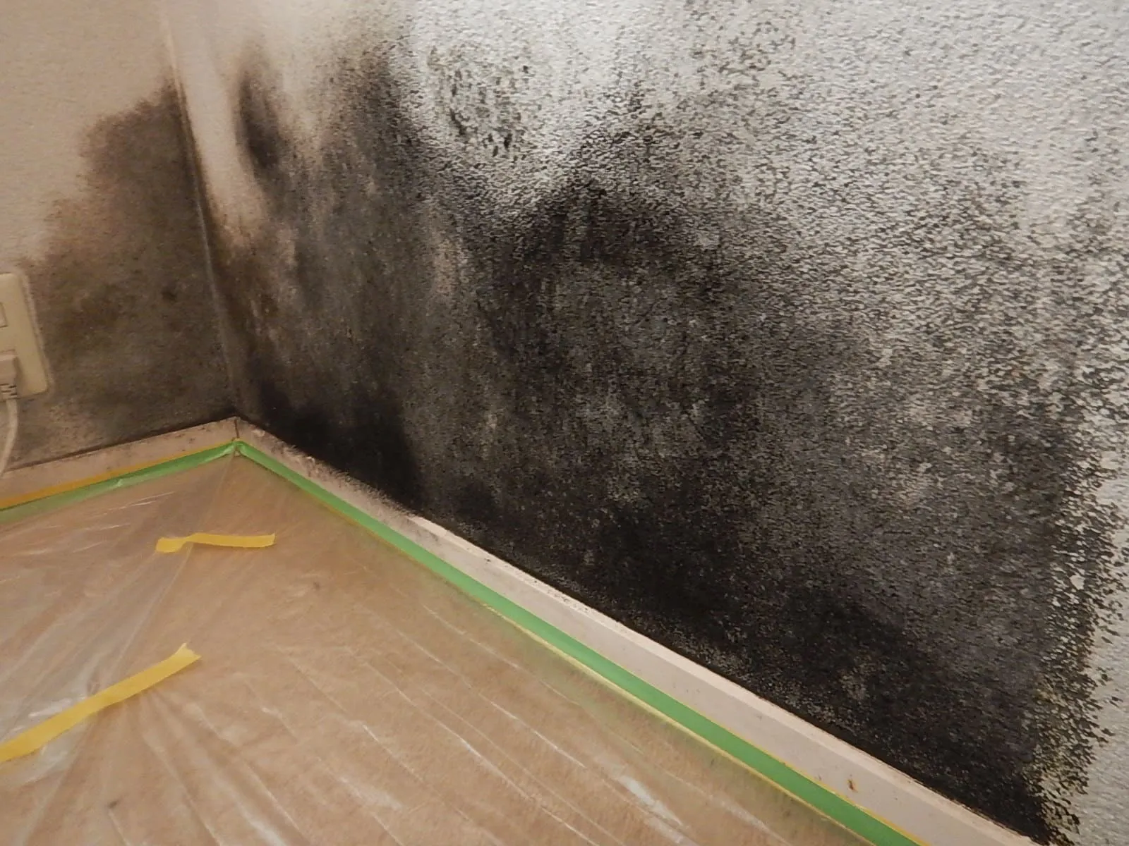 加湿器の使いすぎは危険｜柔らかい珪藻土に黒カビが大繁殖した実例