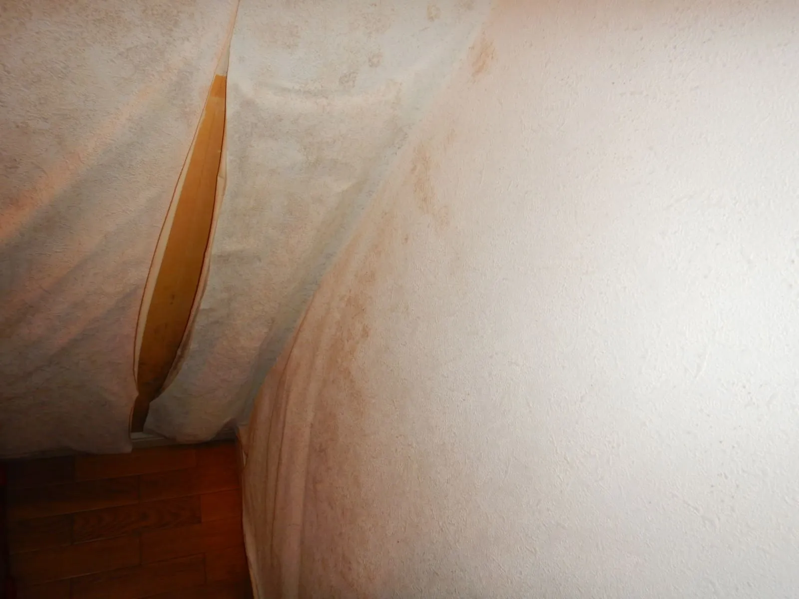 【共働き・シニア世帯必見】カビ臭の正体はMVOCs！なぜカビ臭は健康に悪影響なのか？