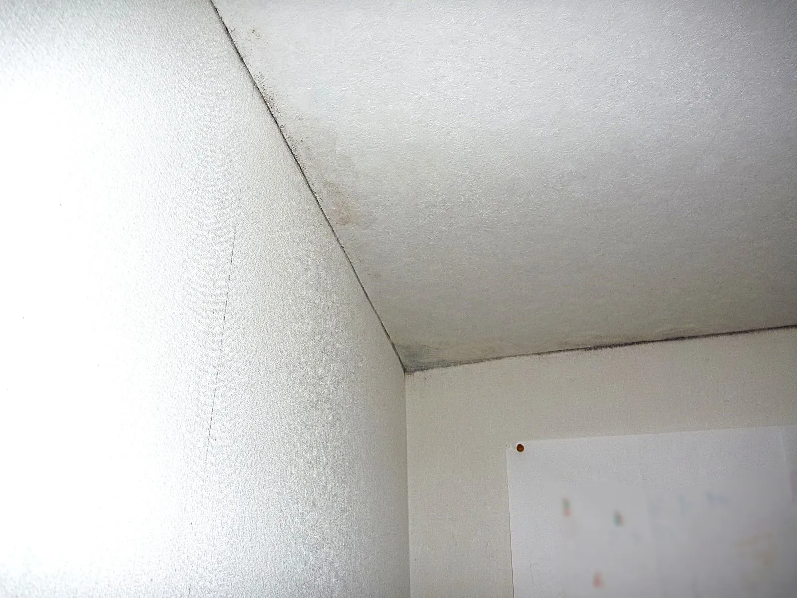 天井壁が濡れていても防カビ結露対策工事は可能｜冬だから実感できる凄い効果