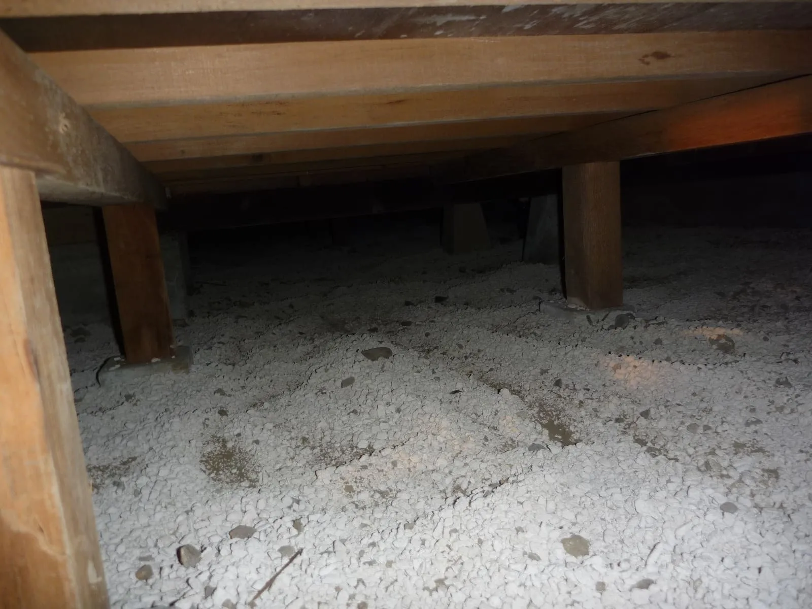 【埼玉】冬の床下カビは“静かに広がる”｜寒くても木材合板カビは止まりません