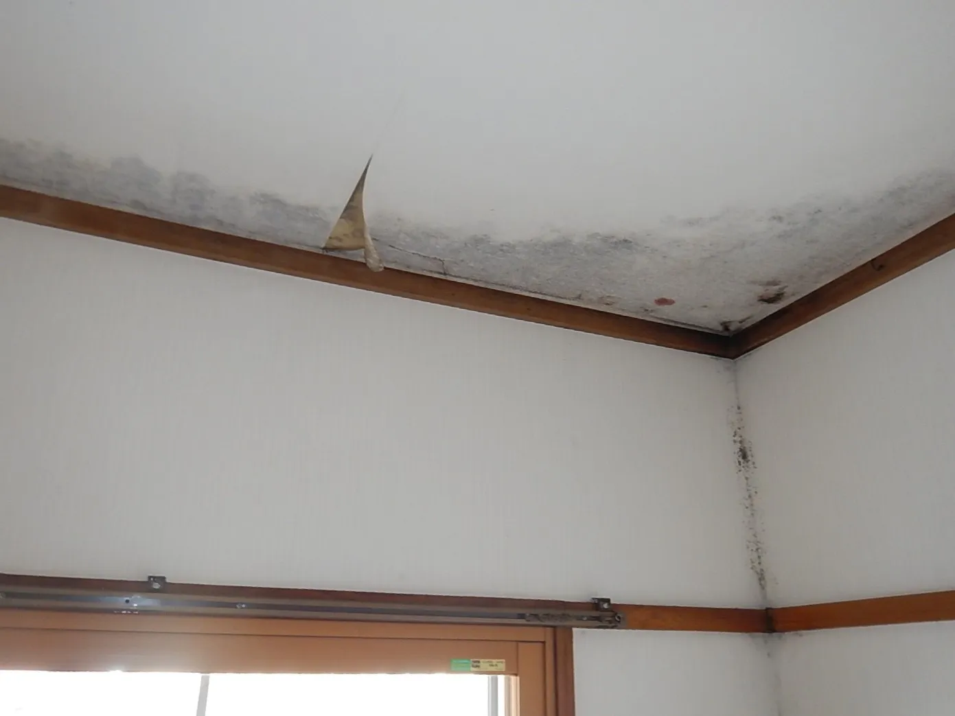さいたま市｜和室天井コンクリート直張り壁紙の結露カビ対策と再発防止