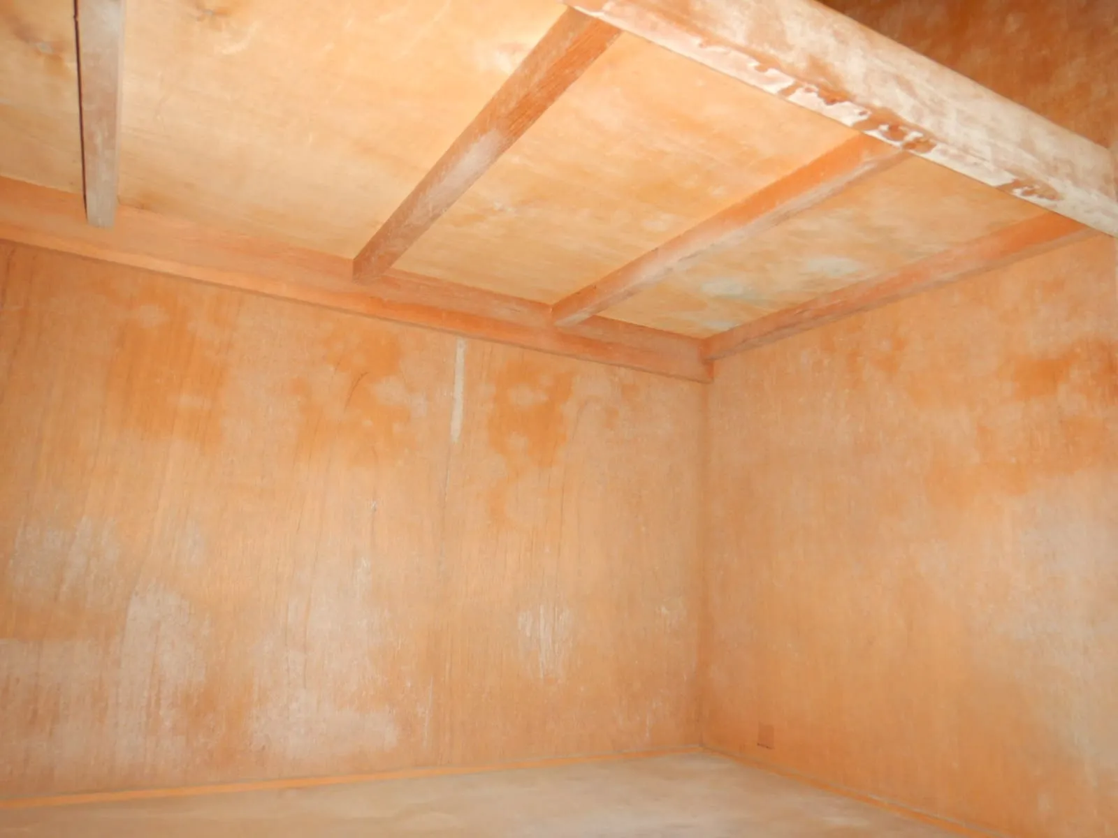 冬なのに部屋がカビ臭い|家具裏と直張り壁紙の“見えないカビ”に注意