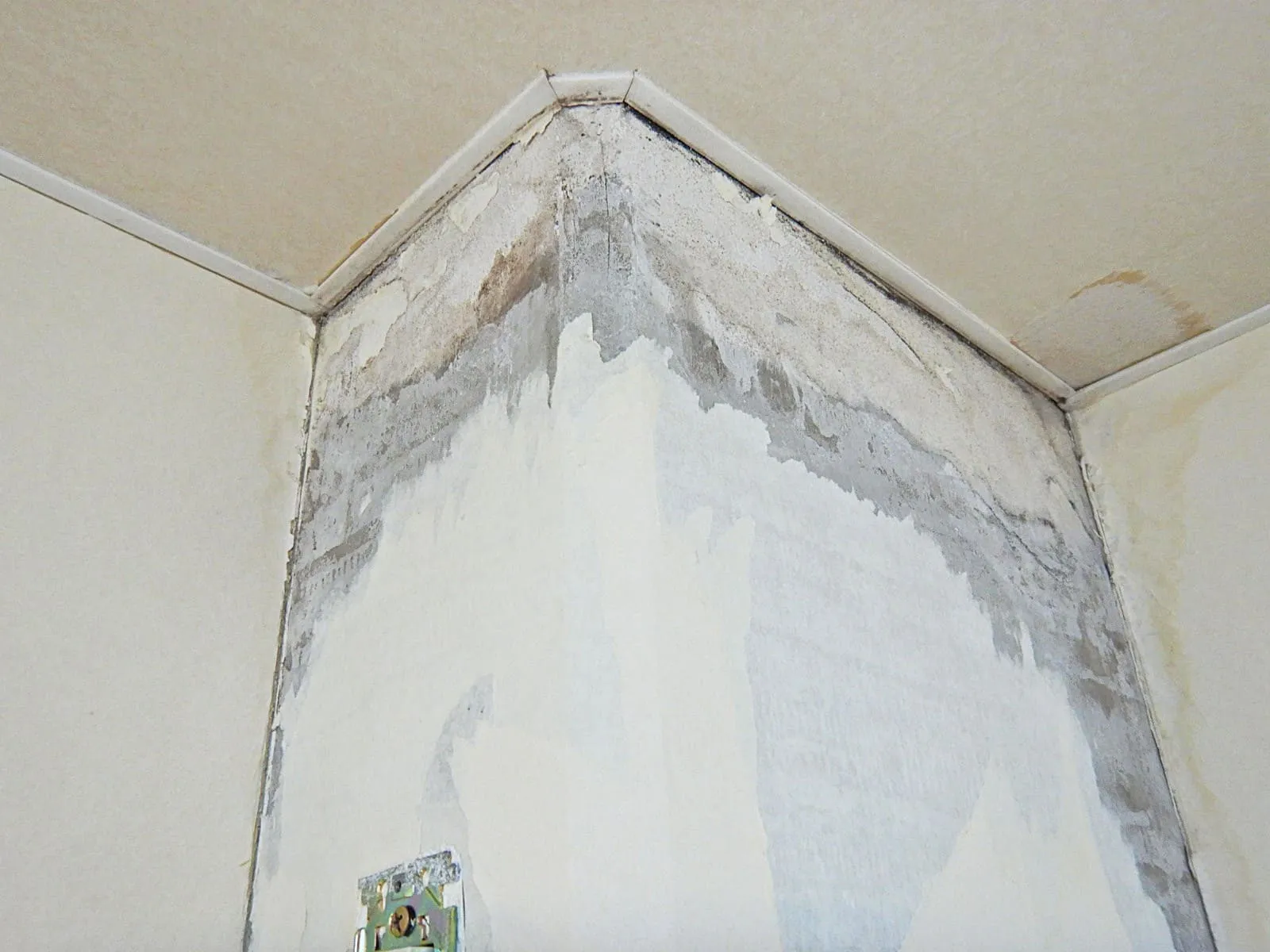 直張り壁紙のカビは、防カビだけでは二冬が限界|結露が止まらない冬の部屋