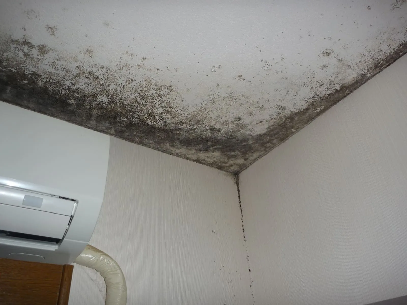 和光市｜天井コンクリート直張り壁紙の裏打ち紙に隠れるカビと結露対策