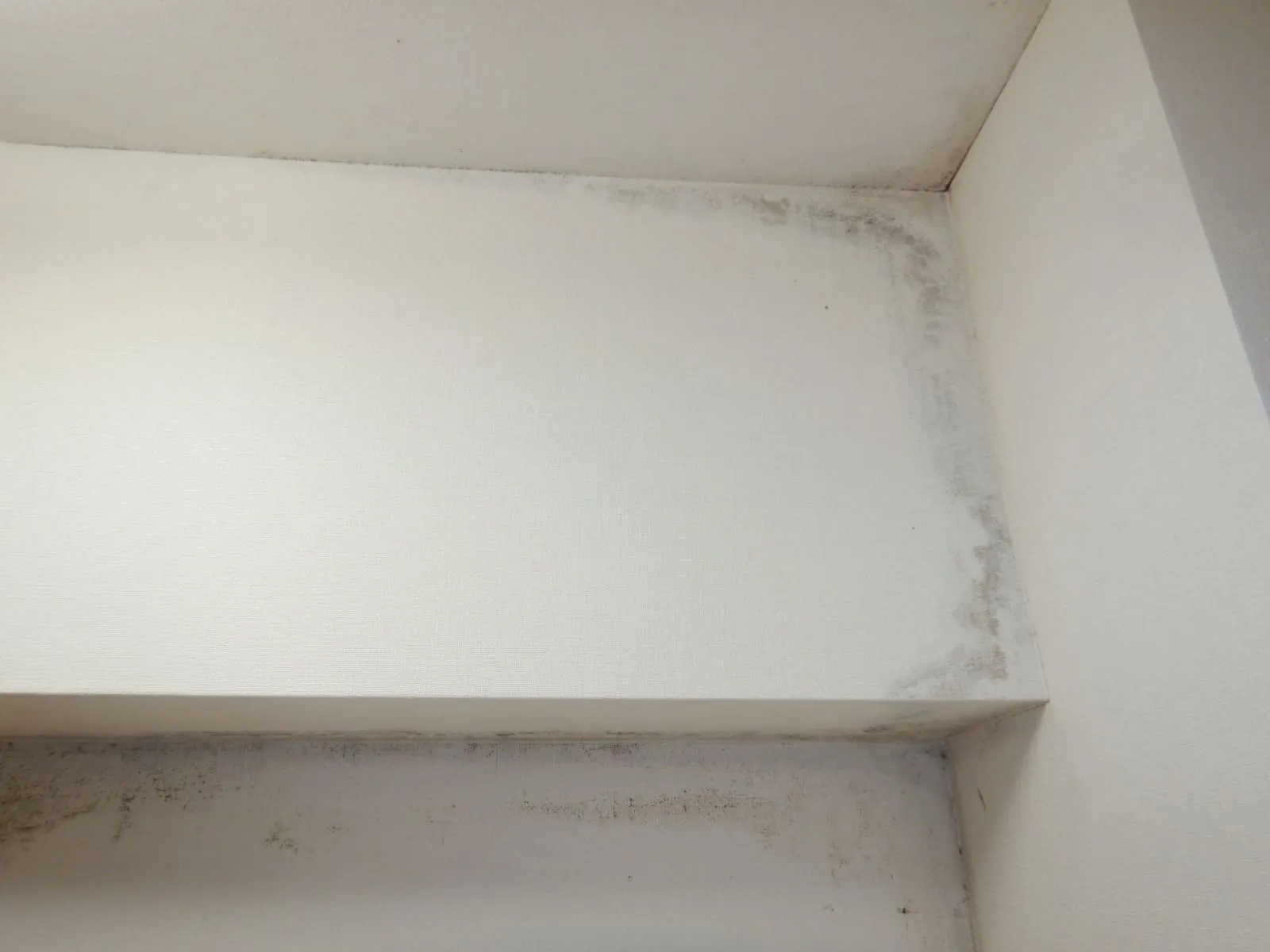 コンクリート直張り壁紙結露カビ（梁）③