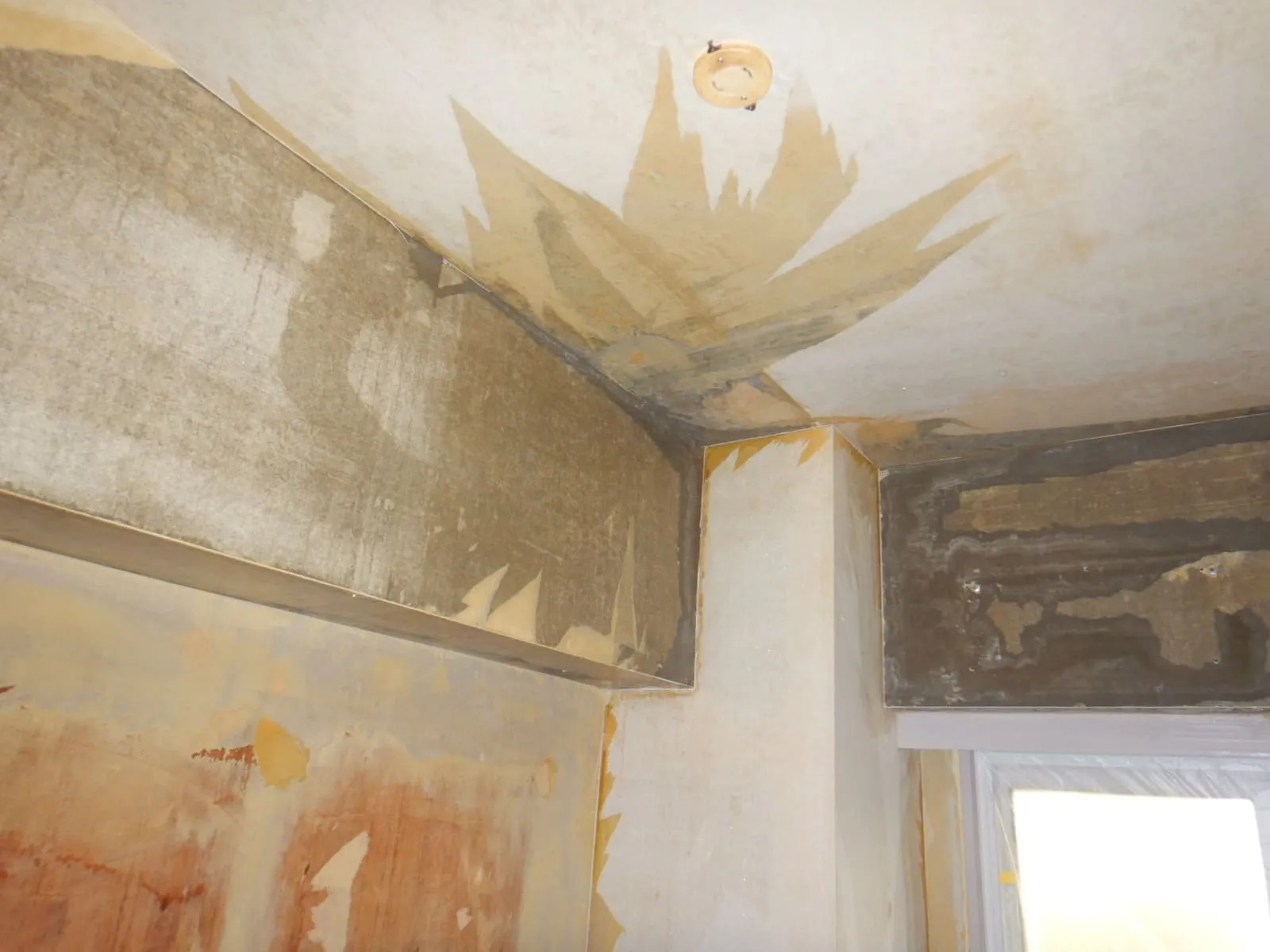 部屋全体の防カビ施工後