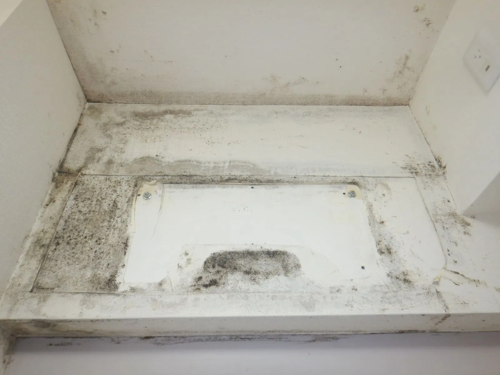 壁紙張替えでは、結露カビは止まりません  ― コンクリート直張り壁紙の限界と、防カビ結露対策工事という選択 ―