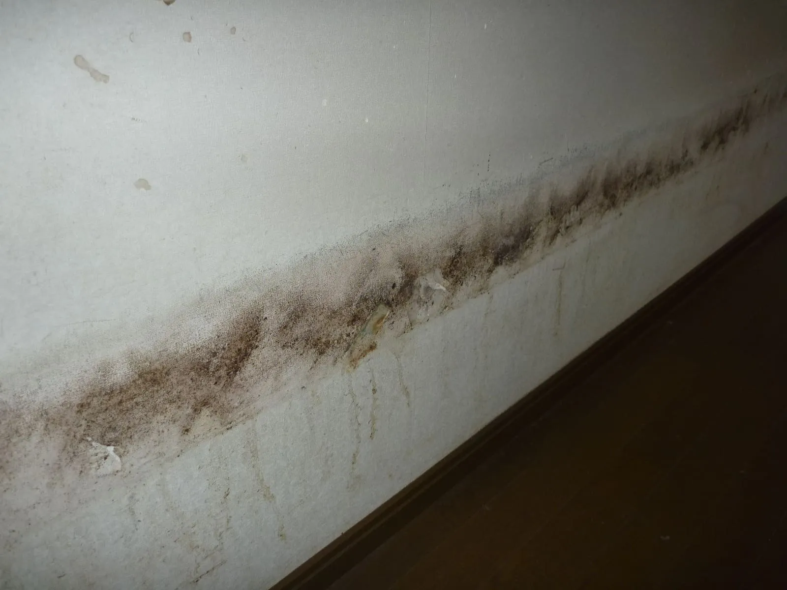 気になるカビを短時間で対応する「小さな防カビ工事」|表面のカビに最適解