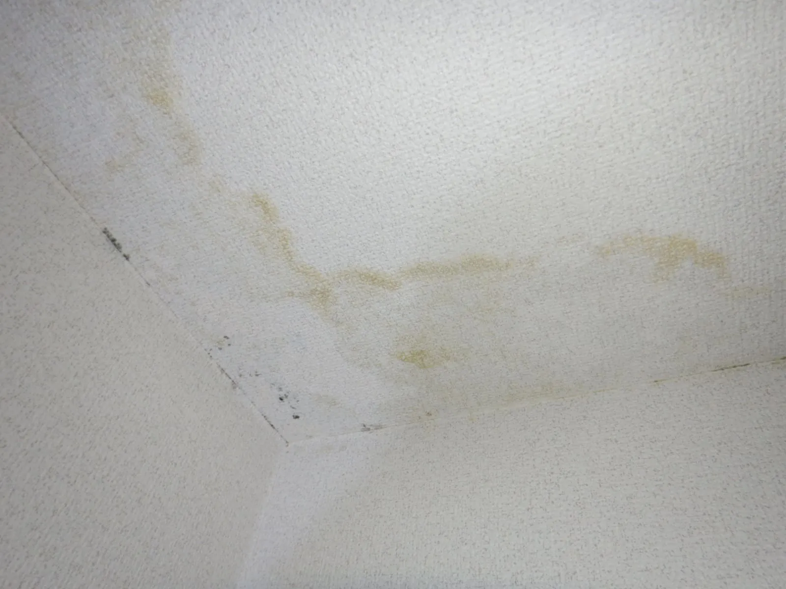 築古マンション・団地の結露とカビを止める!|コンクリート直張りに「防カビ結露対策工事」