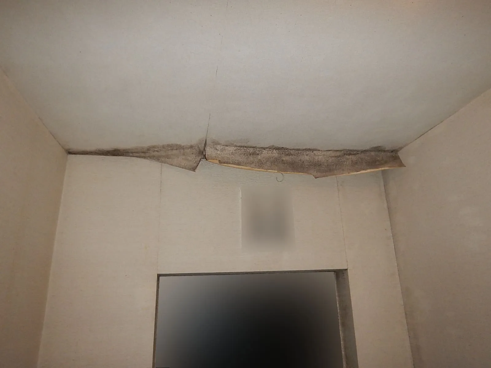 分譲マンションの玄関で起きる ―コンクリート直張り壁紙の結露カビ―