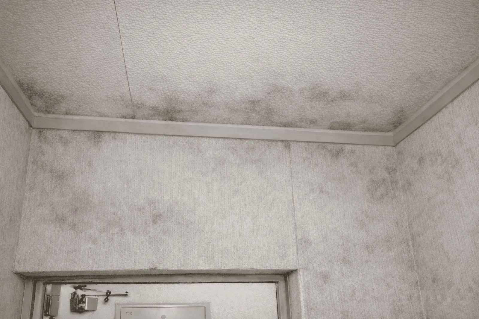 埼玉・東京|築古マンション・団地の玄関壁紙に起きる結露カビ