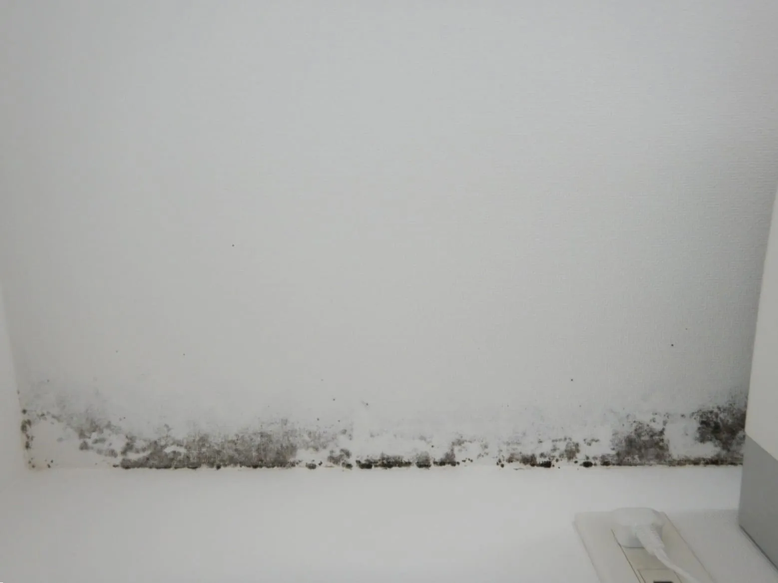 マンションリフォーム済み物件の天壁に注意｜一冬越えたら結露カビが発生？