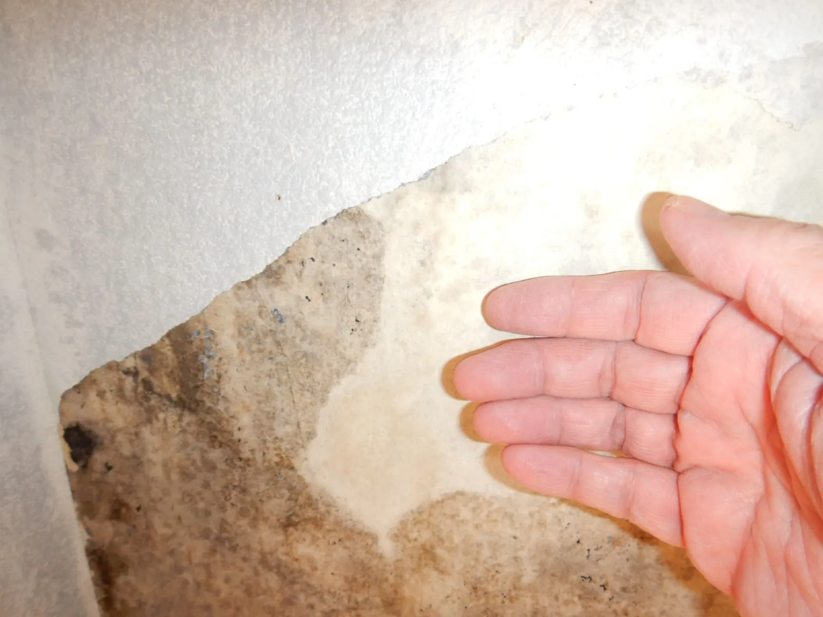 壁の結露がひどい賃貸