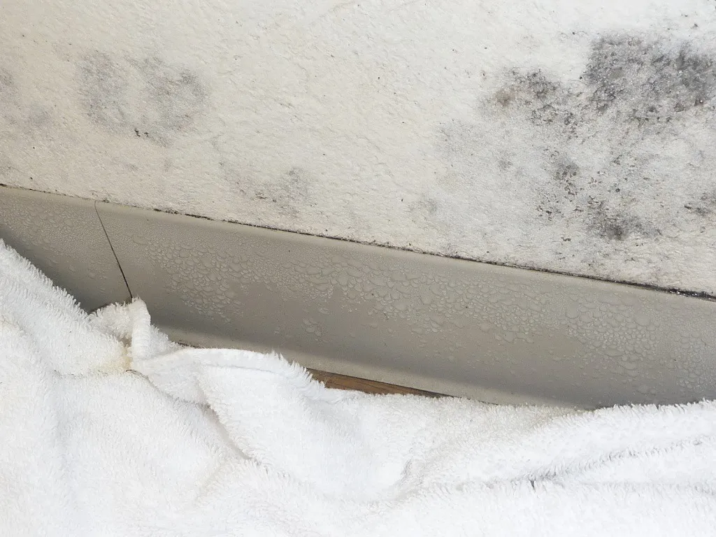 家庭で出来ないカビ対策【後編】 ― カビを止めるには、まず結露から ―