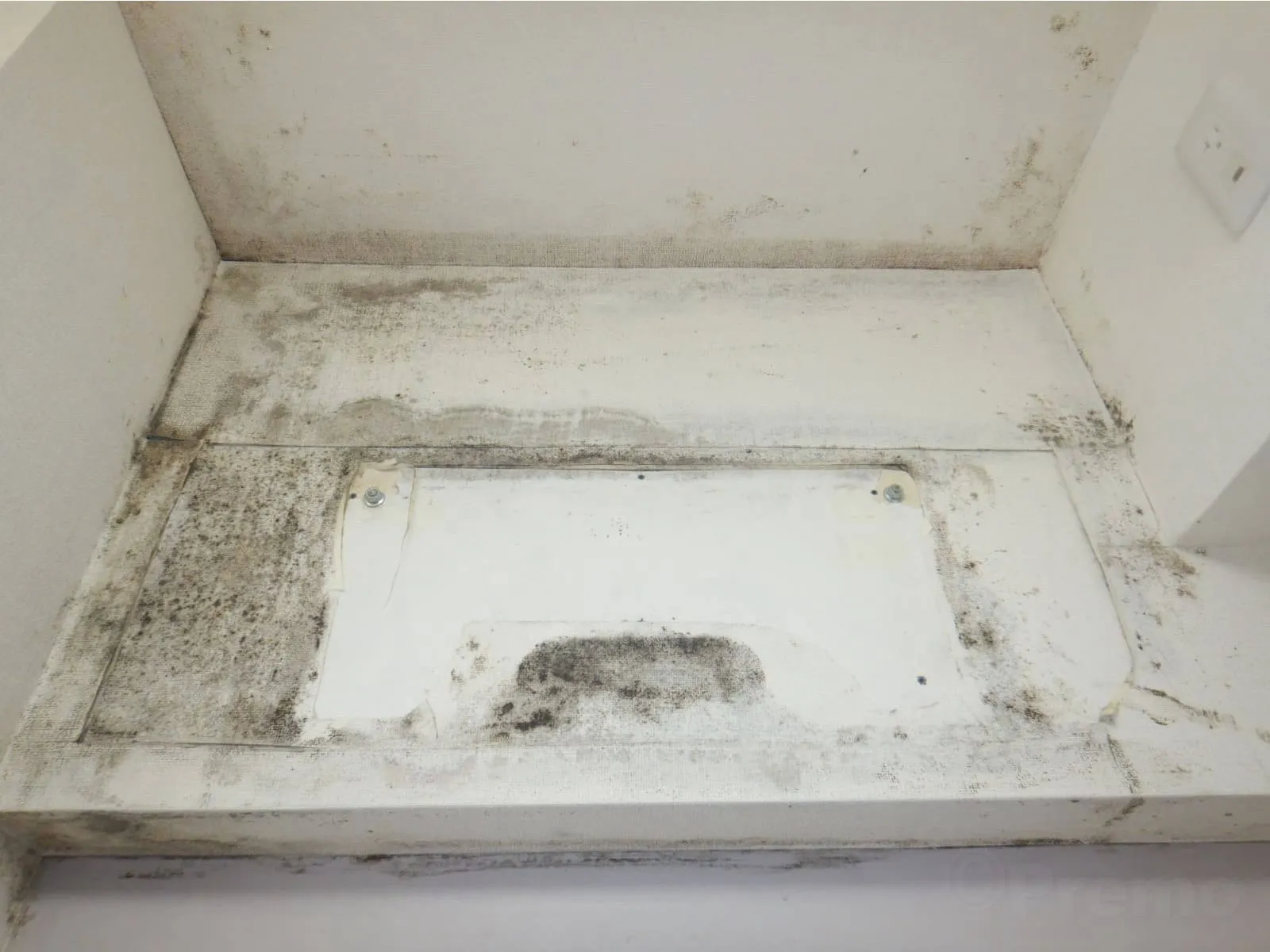 住み始めてから急に出る天井・壁のカビ|入居後数ヶ月で起きる「結露カビ」の正体とは