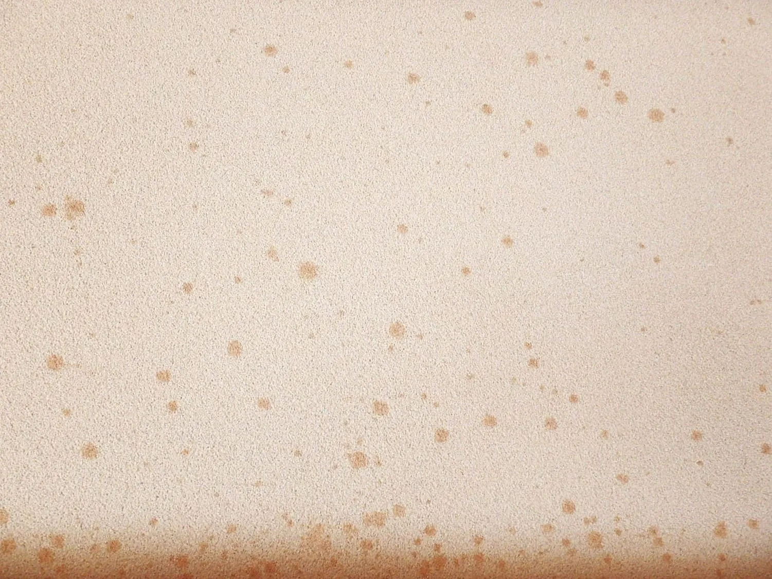 20年以上使われた砂壁は要注意|潜伏型のカビ臭が健康に影響する理由